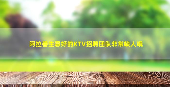 阿拉善生意好的KTV招聘团队非常缺人哦